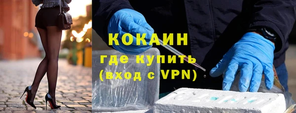 твердый Сосновка