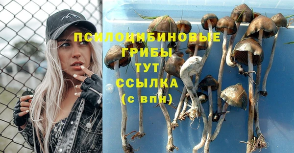 гашик Сосновоборск