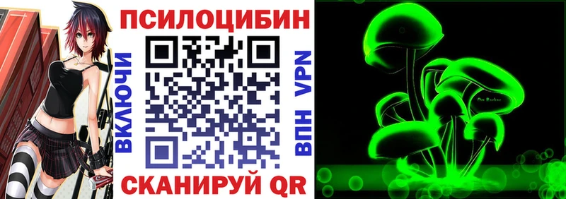 где купить наркоту  ссылка на мегу ссылка  Псилоцибиновые грибы ЛСД  Черногорск 