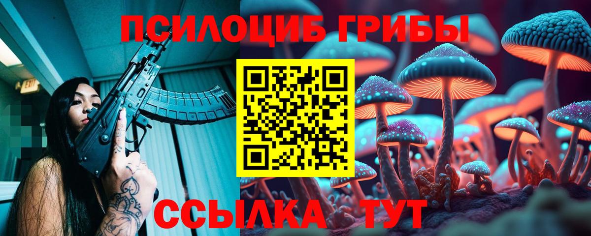 как найти   Вход с VPN  Черногорск  Галлюциногенные грибы Psilocybine cubensis 