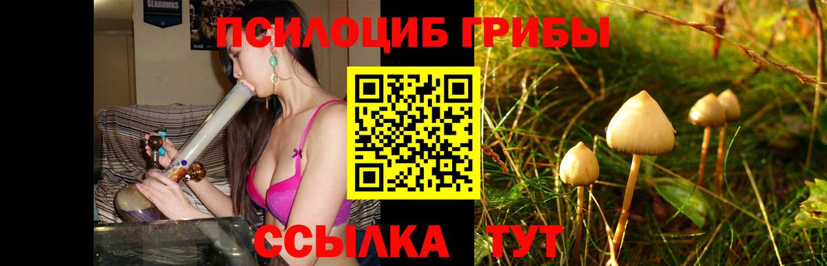 Галлюциногенные грибы GOLDEN TEACHER Черногорск