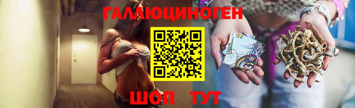 Псилоцибиновые грибы ЛСД Черногорск